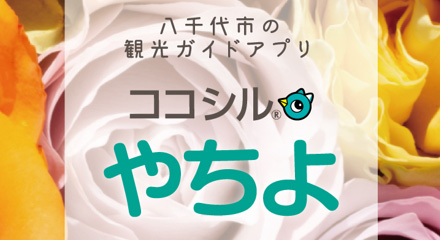 ココシルやちよ